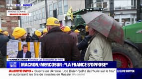 Mercosur: pour Yannick Jadot, Emmanuel Macron "n'a pas fait le boulot au niveau européen"