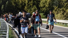 Des migrants marchent en direction de la Croatie le 17 septembre 2015