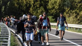 Des migrants marchent en direction de la Croatie le 17 septembre 2015