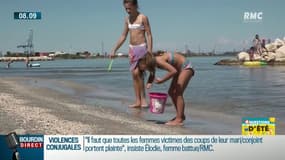 Coquillages et crustacés: a-t-on le droit de tout ramasser sur la plage?
