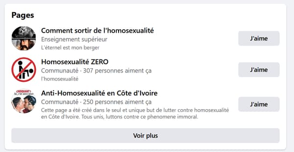 Plusieurs exemples de pages homophobes sur Facebook.