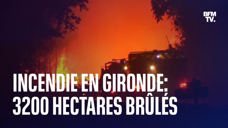 Incendie en Gironde: 3200 hectares brûlés