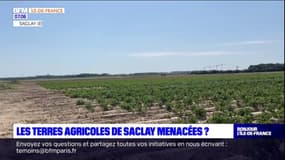 Ile-de-France: les terres agricoles du plateau de Saclay menacées par la ligne 18 ? 