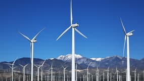 Des éoliennes près de Palm Springs, en Californie, le 6 mars 2024 (photo d'illustration).