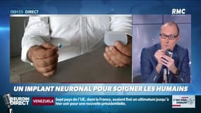 La chronique d'Anthony Morel : Un implant neuronal pour soigner les humains - 04/02