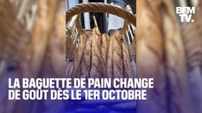 Pourquoi notre baguette de pain n’aura plus tout à fait le même goût à partir de dimanche