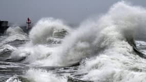 Photo prise en février 2022 à Plobannalec-Lesconil, dans l’ouest de la France.