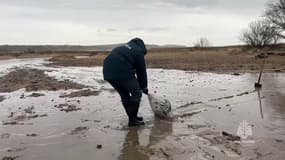 Dans cette image extraite d'un document diffusé par le ministère russe des situations d'urgence le 17 décembre 2024, des sauveteurs interviennent sur une marée noire le long de la côte de la mer Noire, dans le détroit de Kertch, le 15 décembre.