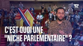  Qu'est-ce que la "niche parlementaire", qui permet aux oppositions de fixer l'ordre du jour de l'Assemblée?