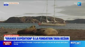 Planète Locale du mercredi 20 novembre - "Grande expédition" à la Fondation Tara océan 