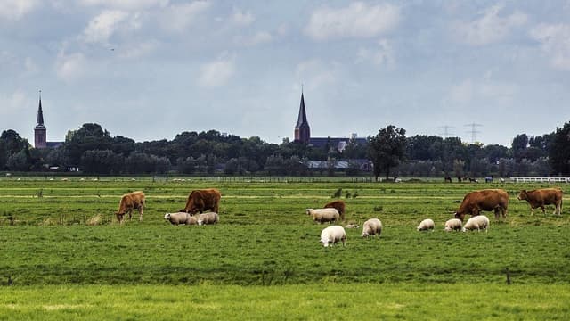 Un paysage de campagne - Image d'illustration