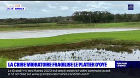 Pas-de-Calais: les traversées de migrants menacent la réserve naturelle du platier d'Oye