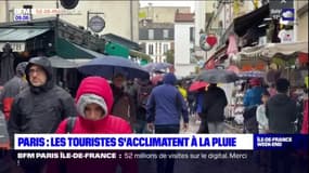 Paris: les touristes s'acclimatent du mauvais temps et de la pluie