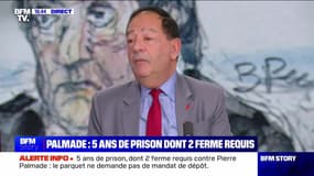 Story 5 : Procès de Pierre Palmade, cinq ans de prison dont deux ferme requis - 20/11