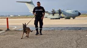 Un secouriste espagnol avec un chien de détection, le 10 septembre 2023.