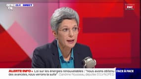 Rousseau : "Notre entêtement dans le nucléaire nous empêche de penser une stratégie d'énergies"