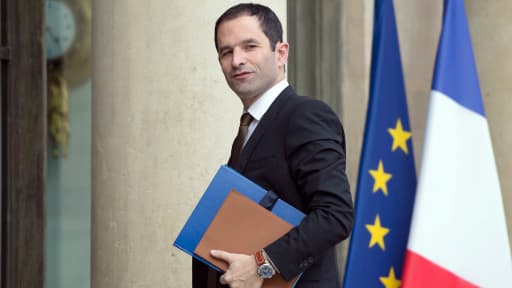 Benoît Hamon, ici en juillet 2013 à l'Elysée.