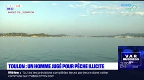 Toulon: un homme jugé pour pêche illicite