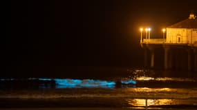 Une vague bioluminescente observée le 29 avril 2020 à Manhattan Beach, en Californie.
