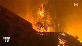 Les images du Portugal en proie à des incendies meurtriers