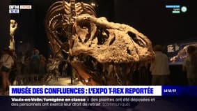 Musée des Confluences à Lyon: l'expo T-Rex finalement reportée