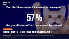 C'est votre vie - 19/12