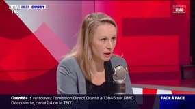 Pour Marion Maréchal, les squatteurs "sont surprotégées par la loi"
