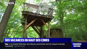 Si certains préfèrent la plage, eux préfèrent passer leurs vacances en haut des cimes 