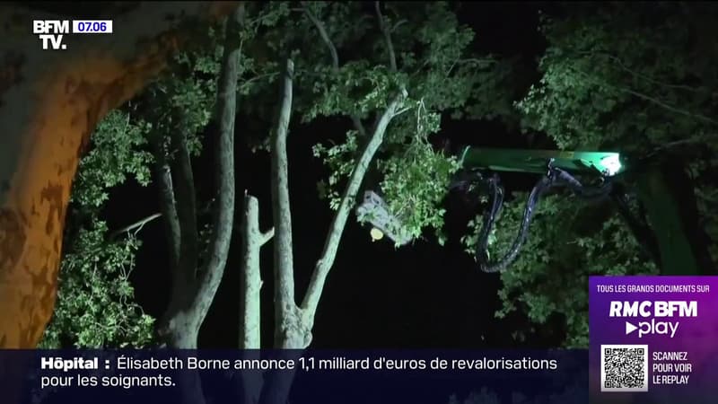 Autoroute A69: l'abattage controversé d'arbres centenaires a repris cette nuit en Haute-Garonne