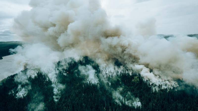 Un feu de forêt dans la province de Québec (Canada), le 7 juin 2023.