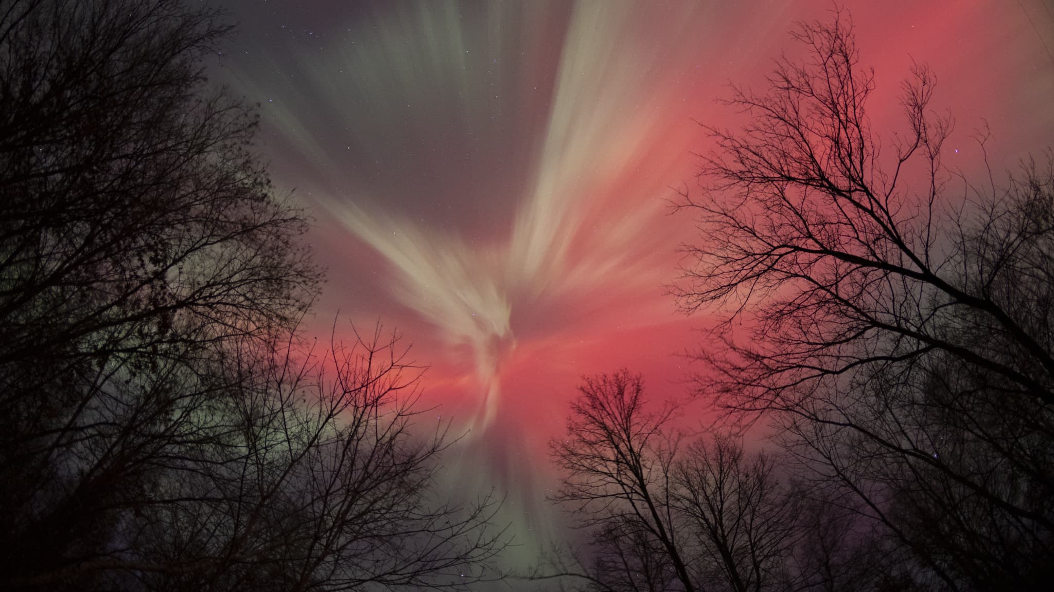 Des aurores boréales aperçues dans l'État du Minnesota (États-Unis), le 12 novembre 2025. (Photo d'illustration) Des aurores boréales aperçues dans l'État du Minnesota (États-Unis), le 12 novembre 2025. (Photo d'illustration)