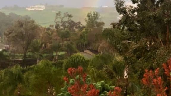 L'hommage de Miley Cyrus à Janice Freeman