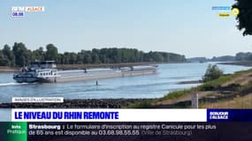 Sécheresse: le niveau du Rhin remonte