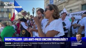 Plusieurs milliers de manifestants mobilisés à Montpellier contre le pass sanitaire
