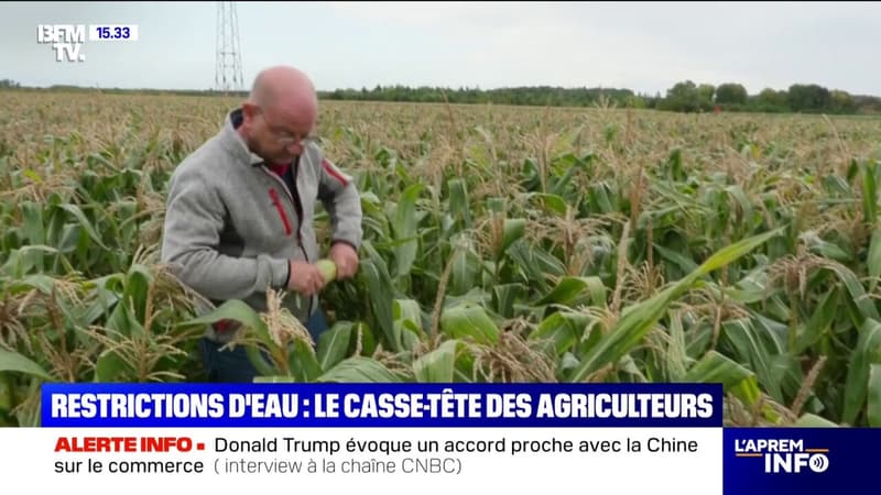 Sécheresse: le casse-tête des agriculteurs qui doivent s'adapter aux restrictions d'eau