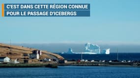 Un iceberg géant s'installe au large de Terre-Neuve au Canada