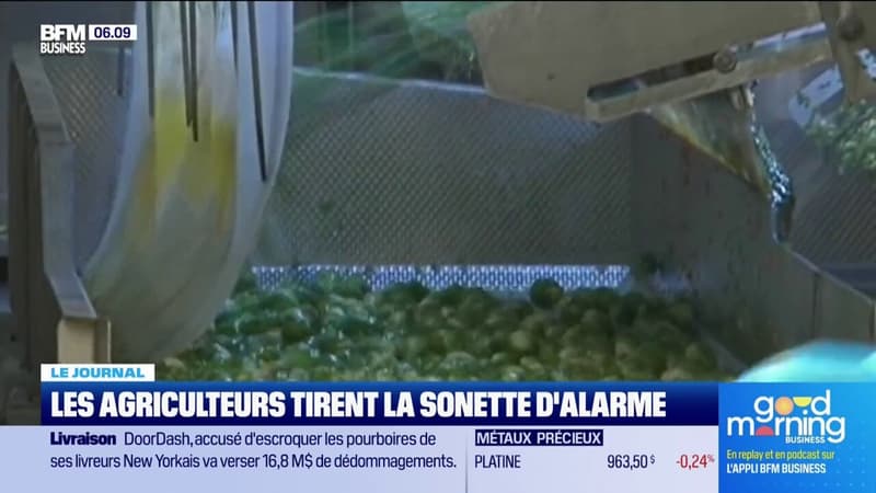 Face aux alertes du secteur de l'industrie agroalimentaire, le gouvernement tente de se montrer à l'écoute