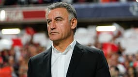 Christophe Galtier, coach du PSG, avant un match de Ligue des champions en octobre 2022