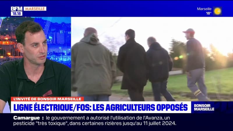 Les agriculteurs sont opposés à la mise en place d'une ligne électrique entre Fos-sur-Mer et Jonquières-Saint-Vincent 