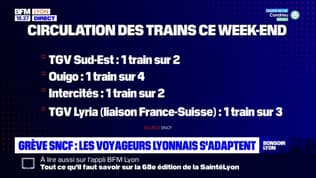 Grève SNCF : les voyageurs lyonnais s'adaptent