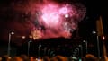Le feu d'artifice à Lyon lors du 14 juillet 2014