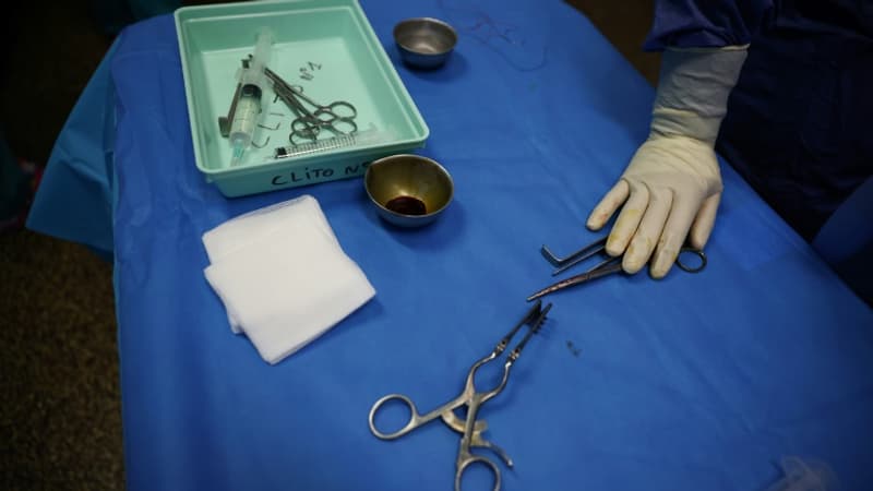 L'OMS, l'Unicef... Plusieurs agences des Nations unies estiment que plus de 4 millions de filles risquent la mutilation génitale en 2026