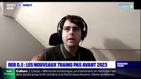 Île-de-France: à quoi doivent servir les nouvelles rames du RER D et E?