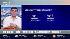 SIGNÉ BFM - Le bâillement est-il vraiment communicatif?