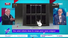 On n'arrête pas le progrès : Des mini-robots dans le corps pour nous soigner - 17/02