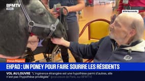 Focus Régions - 20/10