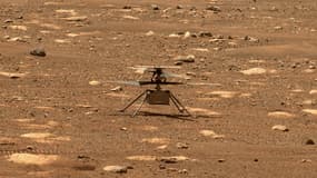 Cette photo de la Nasa montre l'hélicoptère Ingenuity sur Mars, le 7 avril 2021.