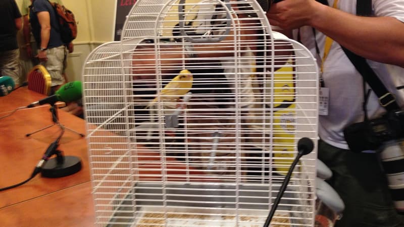 Le canari offert à Alberto Contador