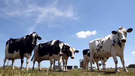 Les ministres européens de l'Agriculture sont divisés sur la question de la PAC