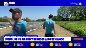 Bas-Rhin: un vol de 45 kg d'asperges à Roeschwoog